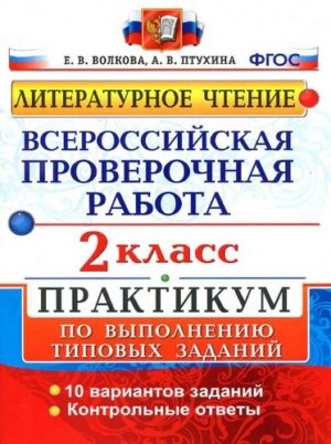 ВПР Литературное чтение 2 класс Практикум Волкова, Птухина