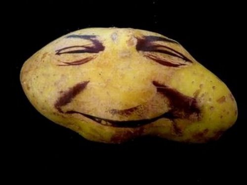 ���� ������ �� ���������