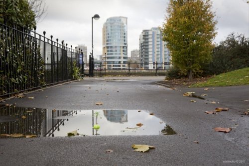 �����-��� ���������