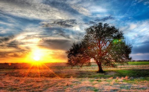 ���������� HDRI
