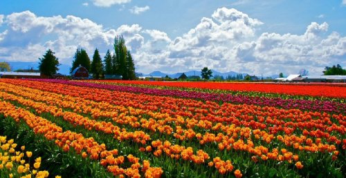 ���������� HDRI