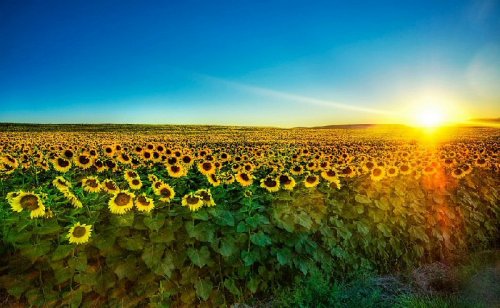 ���������� HDRI