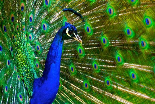 ���������� HDRI