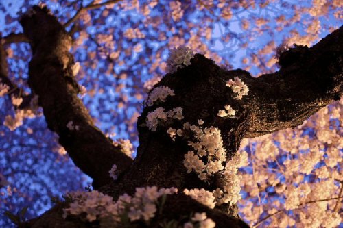���������� HDRI