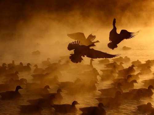 ���������� �� National Geographic
