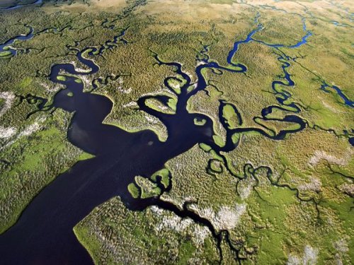 ���������� �� National Geographic