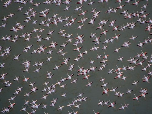 ���������� �� National Geographic