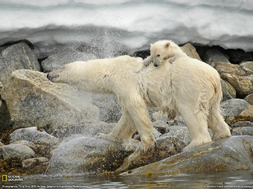 ���������� ���������� National Geographic 