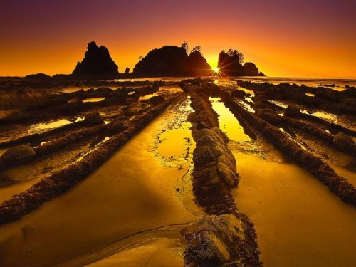 ���������� ���������� National Geographic 