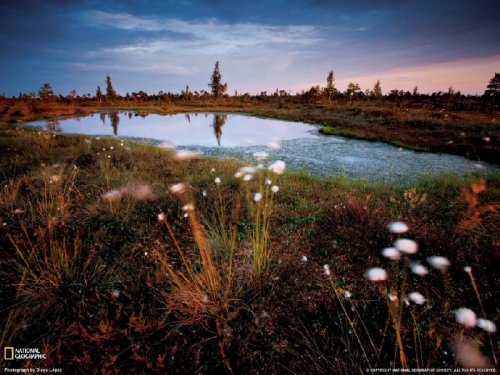 ���������� ���������� National Geographic 