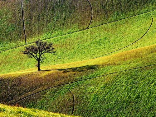 ���������� ���������� National Geographic 