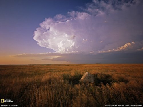 ���������� ���������� National Geographic 