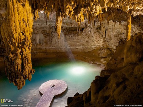 ������ ���������� National Geographic �� ��������