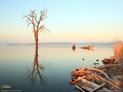 ������ ���������� National Geographic �� ��������