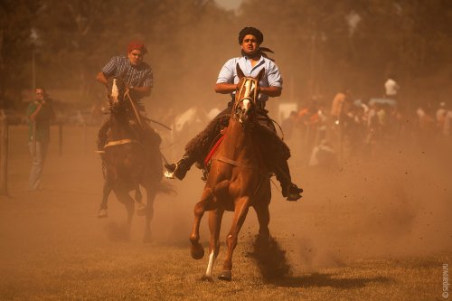��������� ����� Fiesta de la Tradicion