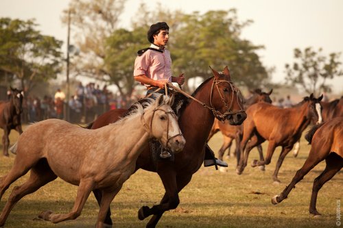 ��������� ����� Fiesta de la Tradicion