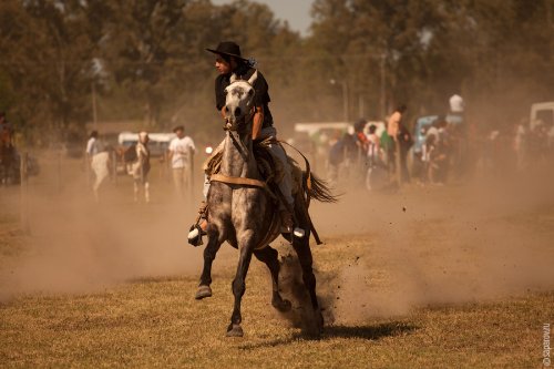 ��������� ����� Fiesta de la Tradicion