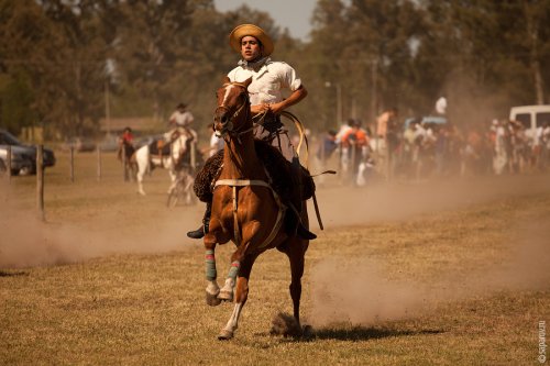 ��������� ����� Fiesta de la Tradicion