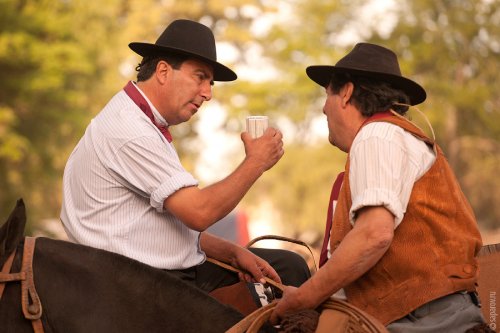 ��������� ����� Fiesta de la Tradicion