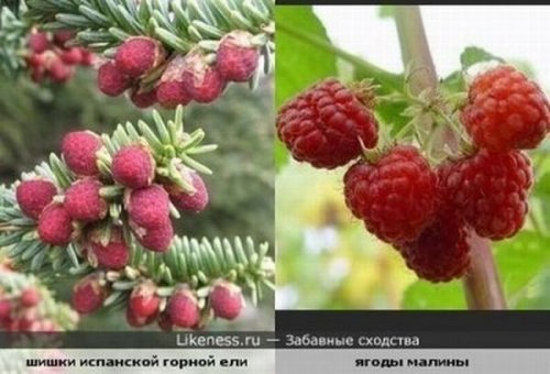 ������� �������� ������������� � �� ������