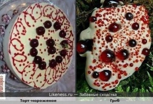 ������� �������� ������������� � �� ������