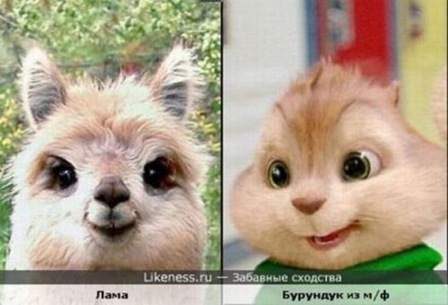 ������� �������� ������������� � �� ������