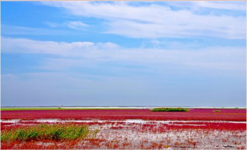 Panjin Red Beach � ��������� ������� ���� � �����