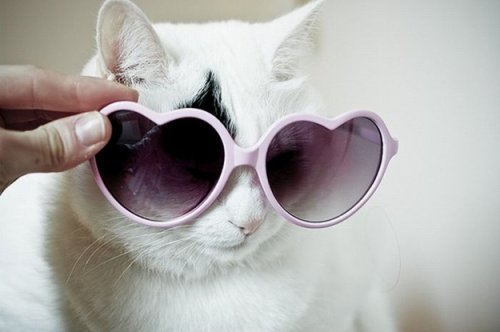 ����� � �����