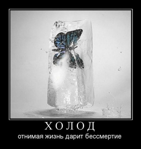 ������� ������������