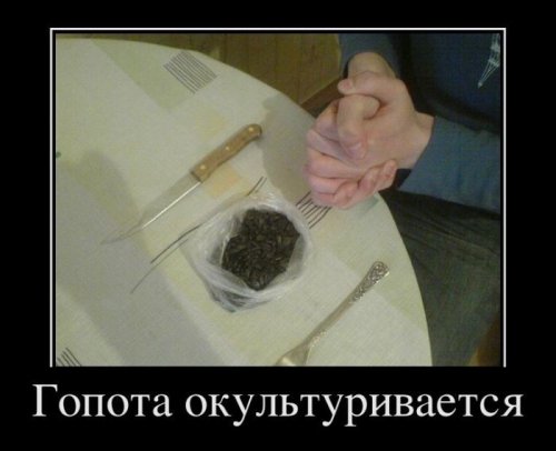������� ������������