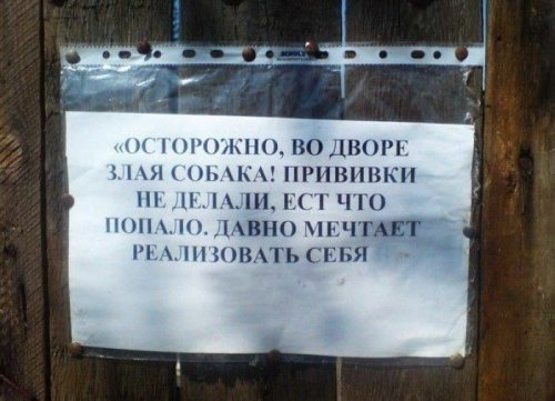 ������� � �������� (33 ��)