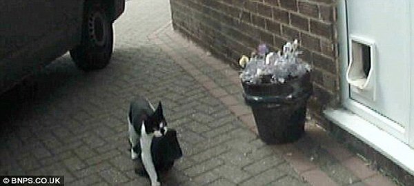 ���, ��������� ��������� ����