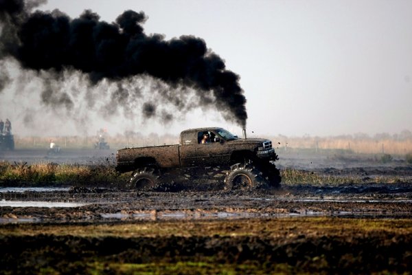 Okeechobee Mudfest � ��������� ��������
