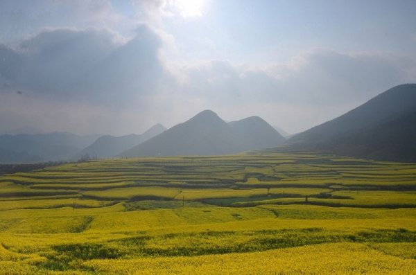 �������� ���� � ������� (Luoping), �����