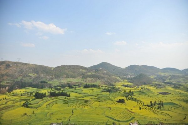 �������� ���� � ������� (Luoping), �����