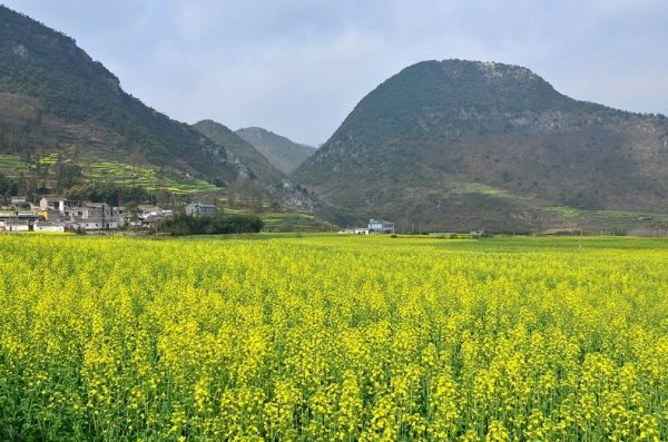 �������� ���� � ������� (Luoping), �����