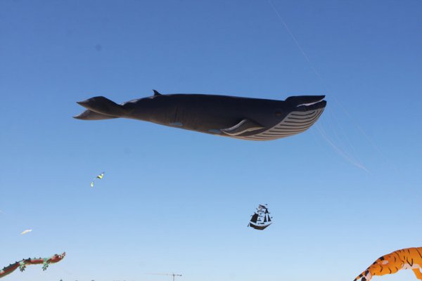 ������������� ��������� ���� ��������� ������, ���������� �� ����� ��� (Bondi Beach)