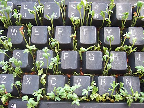 Креативное и прикольное использование старых компьютерных клавиатур Креативное и прикольное использование старых компьютерных клавиатур