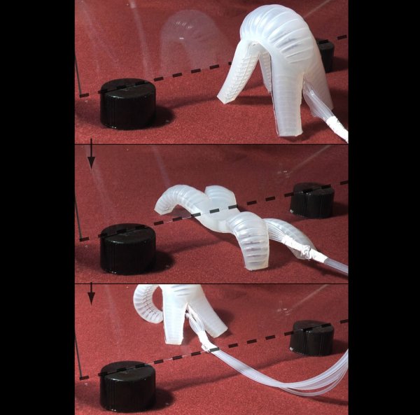 ������ ��� ������ � ���
