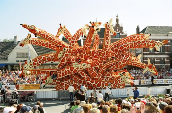 �������� ���������� �� ��������� �� ��������� ������ �Bloemencorso�