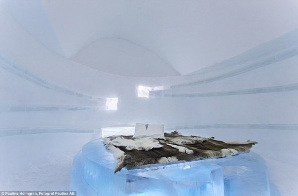����������� ����� ��������� Icehotel � ������ (18 ����)