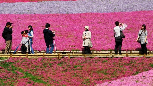 �������� ����������� ������ � ����� �Hitsujiyama�, ������