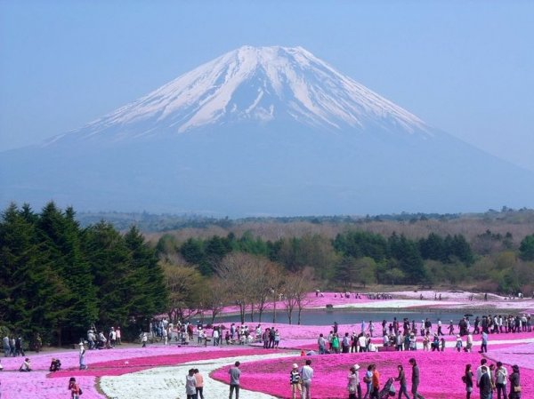 �������� ����������� ������ � ����� �Hitsujiyama�, ������