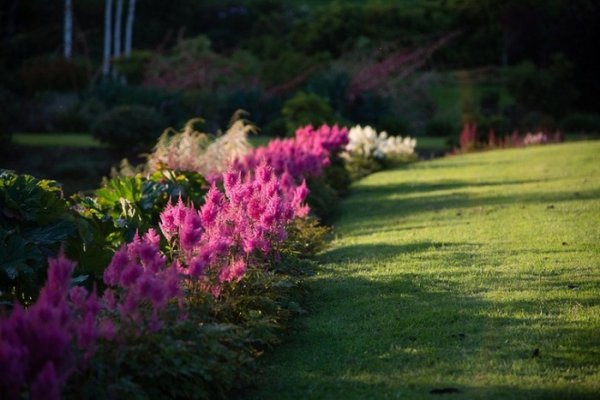 �������������� ������� �������� ����� Maple Glen (20 ����)