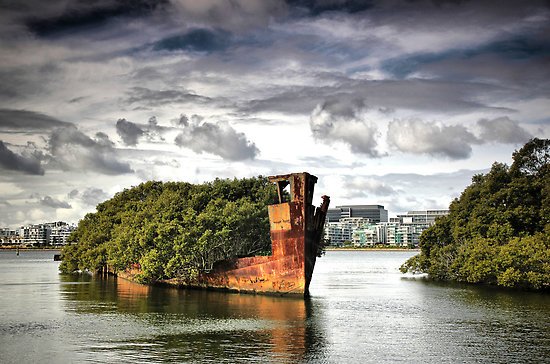 SS Ayrfield – заброшенный корабль, превратившийся в плавающий лес (8 фото) SS Ayrfield – заброшенный корабль, превратившийся в плавающий лес (8 фото)