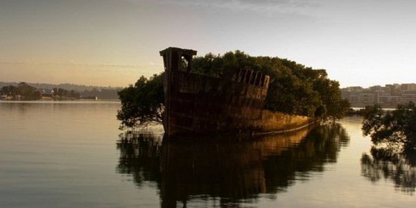 SS Ayrfield – заброшенный корабль, превратившийся в плавающий лес (8 фото) SS Ayrfield – заброшенный корабль, превратившийся в плавающий лес (8 фото)