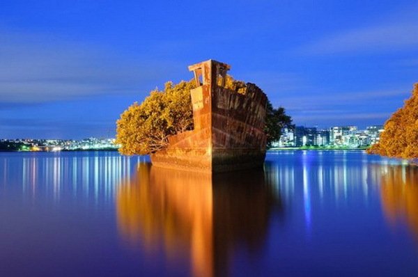 SS Ayrfield – заброшенный корабль, превратившийся в плавающий лес (8 фото) SS Ayrfield – заброшенный корабль, превратившийся в плавающий лес (8 фото)