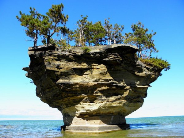 Turnip Rock � ��������, ������������� ��� ����� (6 ����)