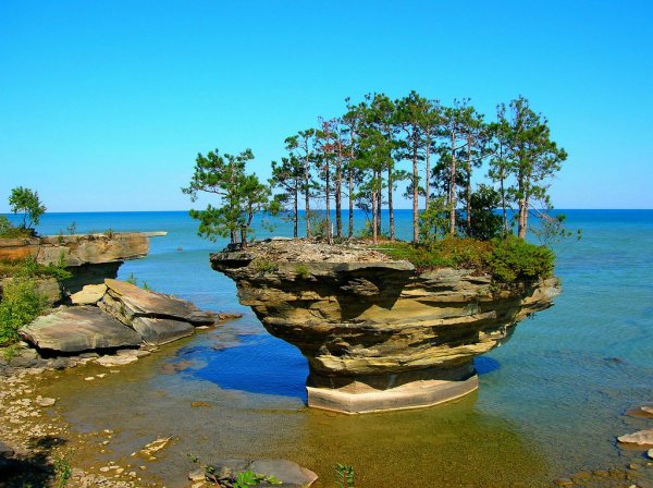 Turnip Rock � ��������, ������������� ��� ����� (6 ����)