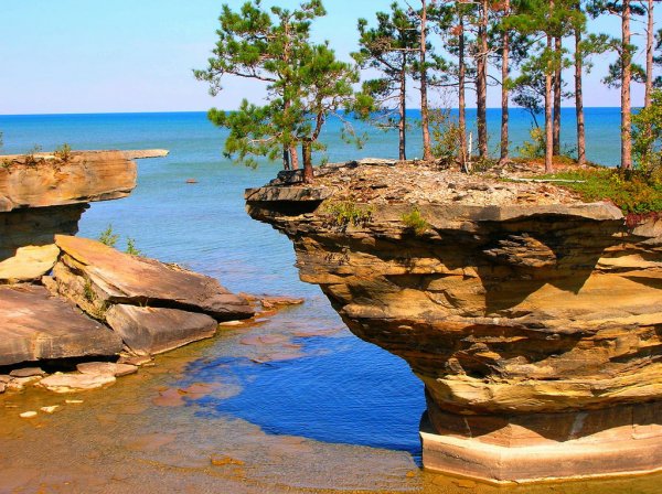 Turnip Rock � ��������, ������������� ��� ����� (6 ����)